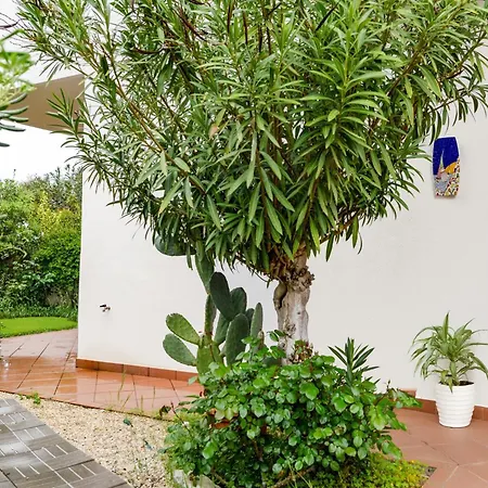 Apartment L16 Nuovo Con Giardino E Posto Auto *