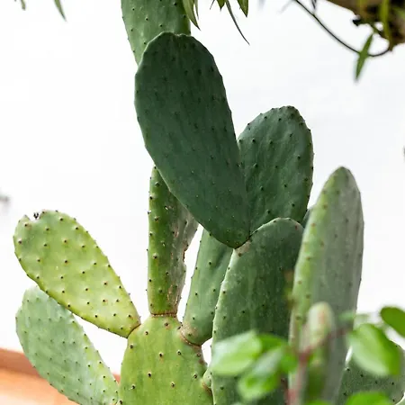 L16 - Nuovo Con Giardino E Posto Auto Lägenhet